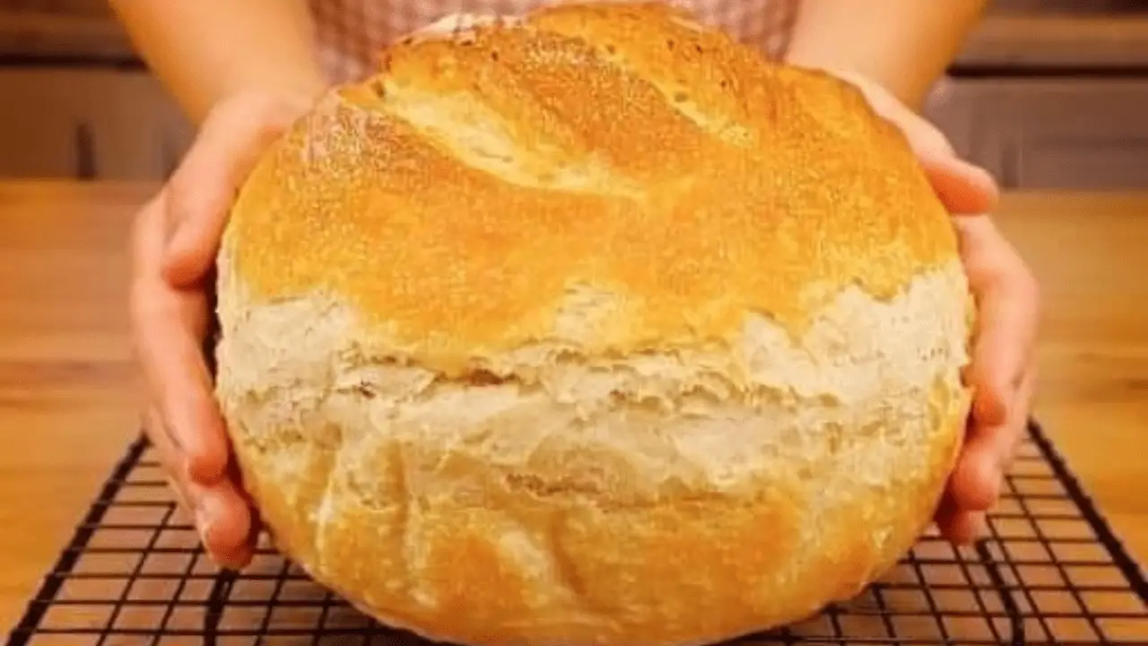 Speedy 5-Minute Bread Recipe